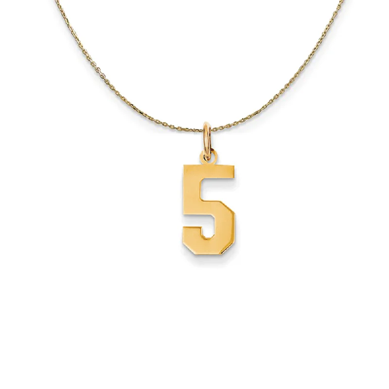 Faint silver necklace-14k Yellow Gold, Athletic, Sm Polished Number 5 Necklace