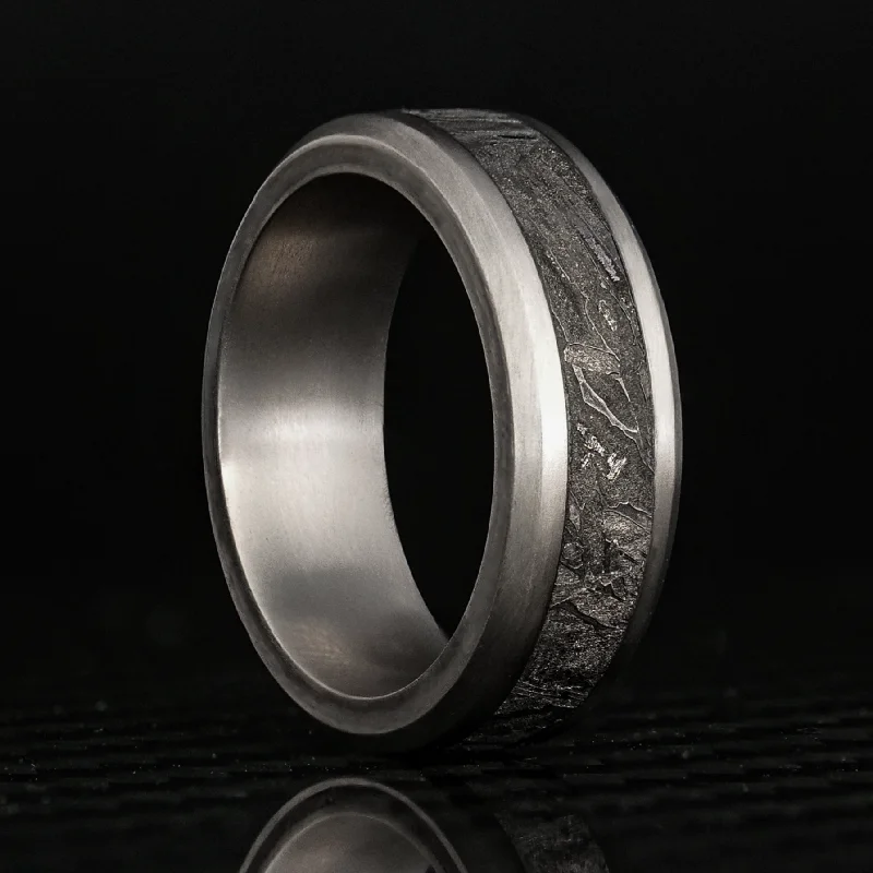 Shiny nickel ring-Titanium Ring With Meteorite Inlay