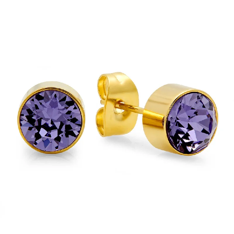 Rough-hewn stone earrings-18k Gold Plated Stainless Steel Birthstone (February) Earring Studs